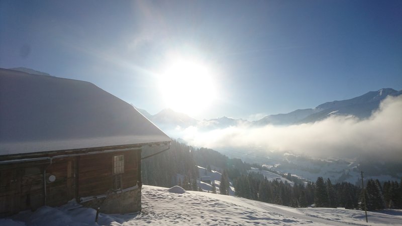 Schön wärmendes  Plätzchen
