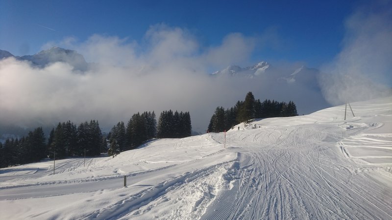 Da lauert sie wieder, die grässliche Brühe. Die Obergrenze lag bei etwa 1800m, also war nur der unterste Teil am Höchst eingenebelt