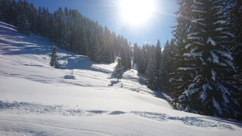 Winterwunderland am Läger/Horneggli