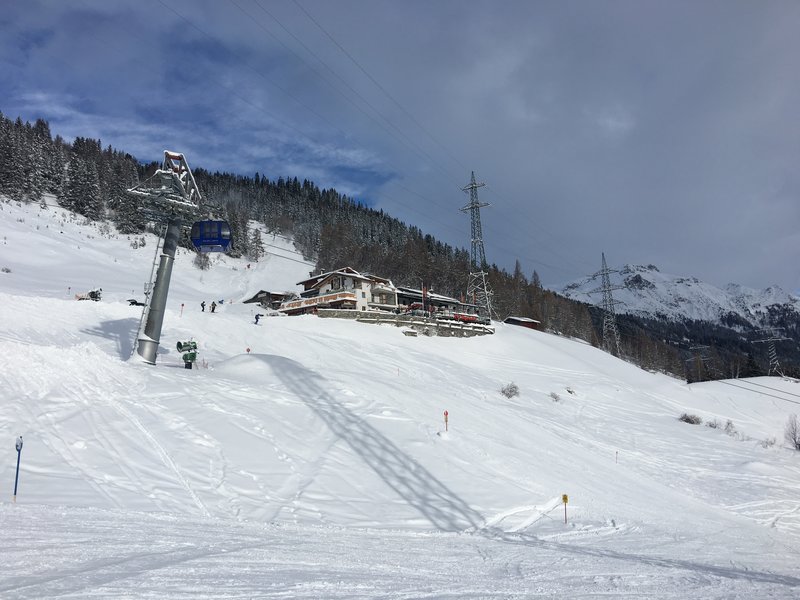 IMG_5837 Crazy Kaguruh.JPG