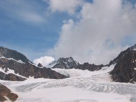 Wildspitze von Westen.