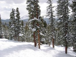 Slalomstangen stehen schon da...