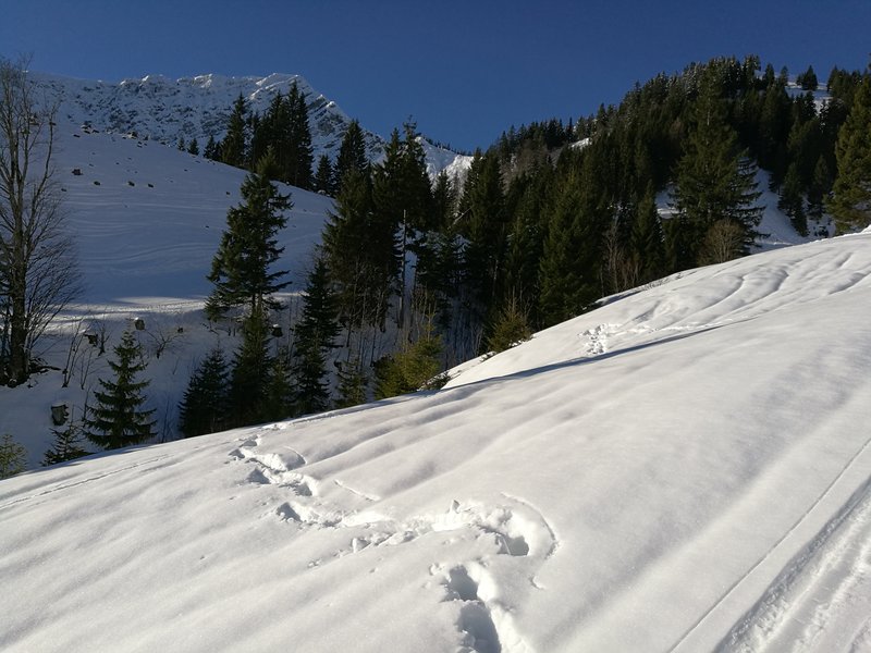 Blick in die andere Seite - Richtung Piste