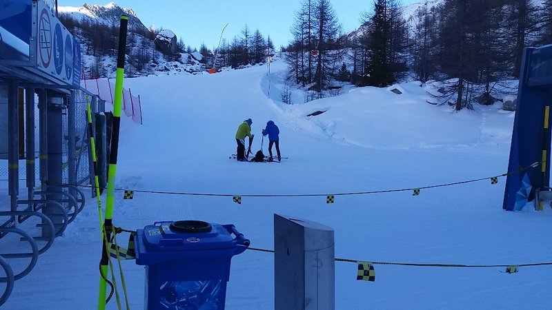 Was die wohl falsch machen?