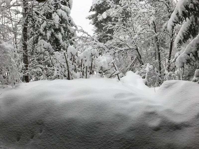 So viel Schnee wie seit Jahren nicht mehr