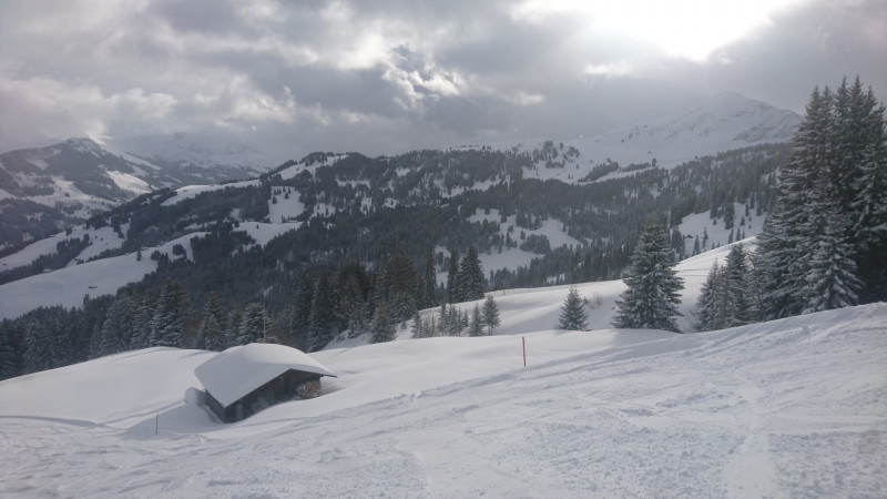 40cm Pulver auf Knallhartem Betonschnee. Was gibt's schöneres?<br />Hier an der Chalberweid auf knapp 1600m beträgt die Schneehöhe weit über einem Meter. Am Lengebrand  auch noch 70cm. So müsste Winter.