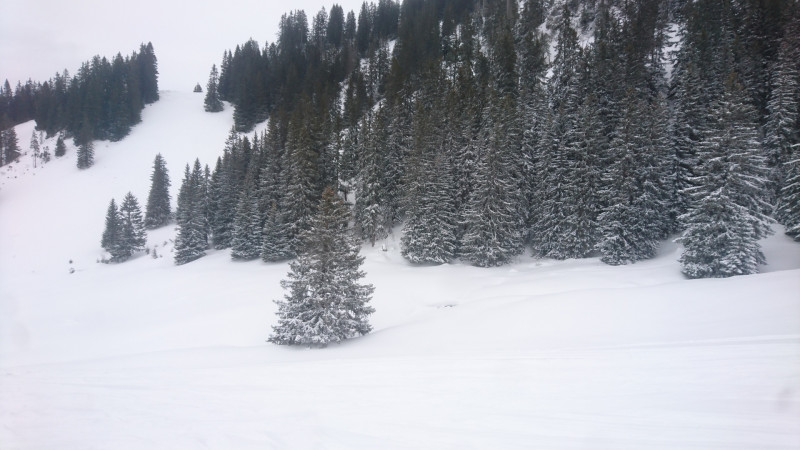 Chübeli. Absolut beeindruckende Schneemassen. Selbst der Bach ist komplett zugeschneit. Heuer könnte man die schwarze Variante mal wieder öffnen, wenn sie denn noch im Pistenplan drin wäre.