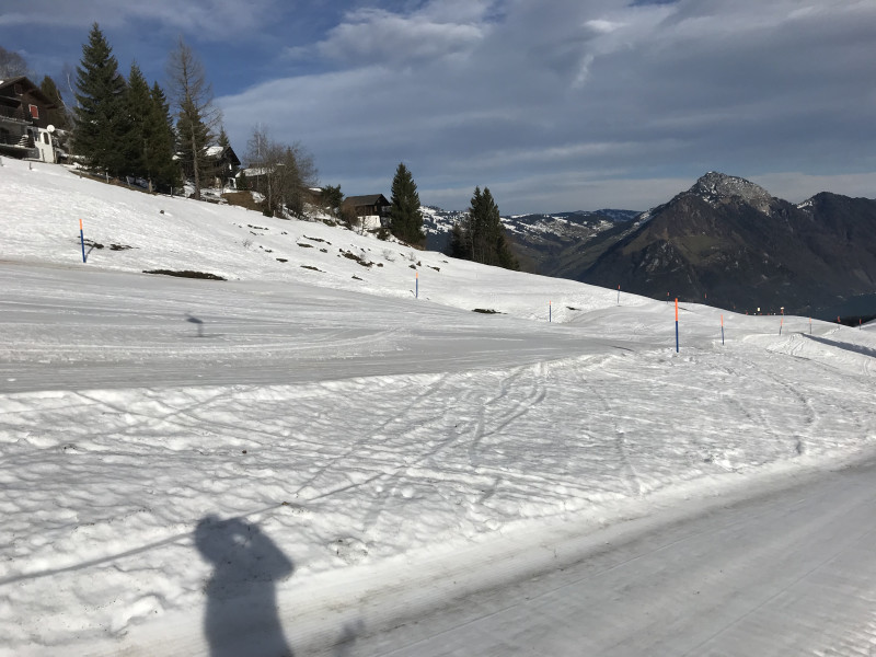 Die ersten Flecken am Herti