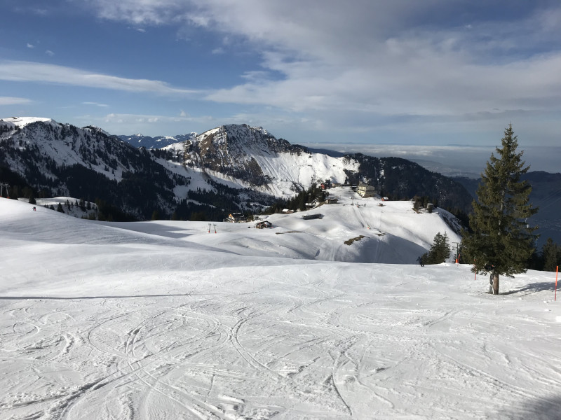 Was ich nicht verstehen kann: Gestern um diese Zeit waren die Pisten mit gleicher Exposition an der Frutt längst pfloderweich. Ergglen ist noch bretthart, weicht erst gegen 13 Uhr auf.