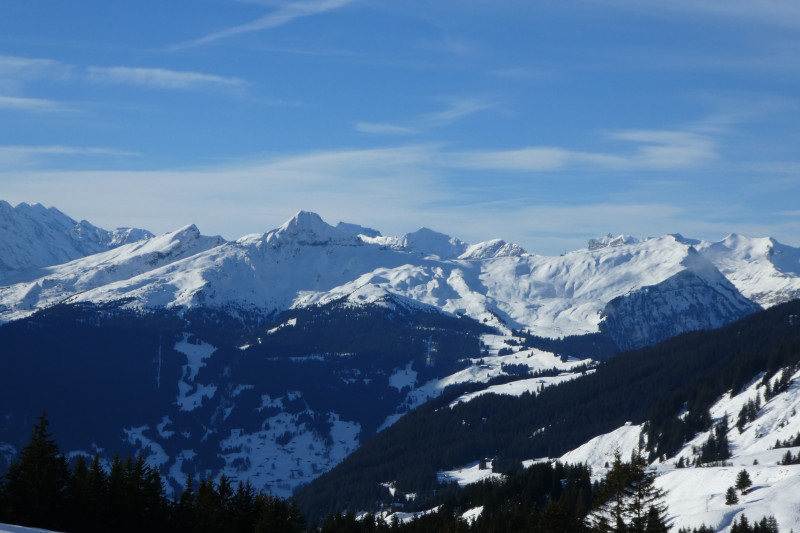 Skiferien Grindelwald 055.JPG