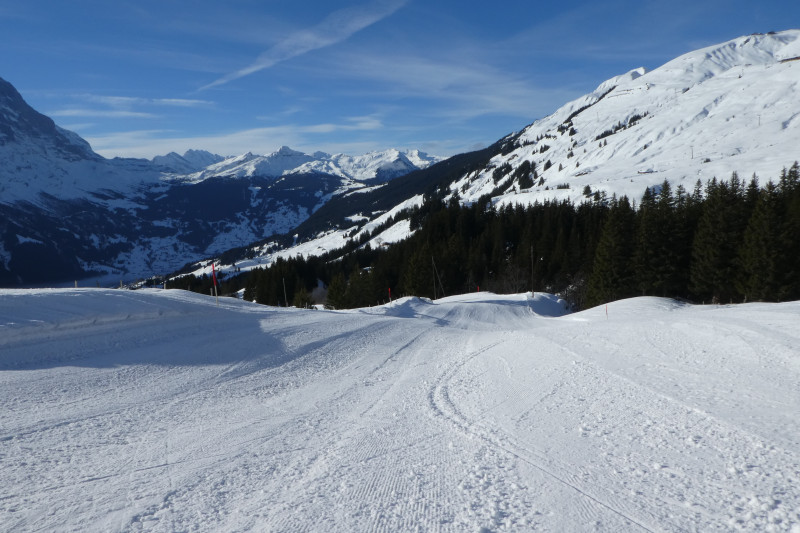 Skiferien Grindelwald 060.JPG