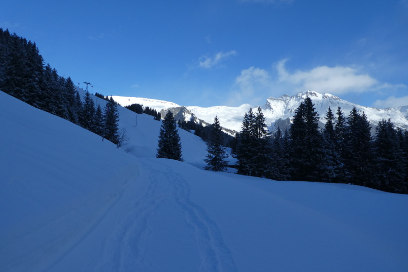 Skiferien Grindelwald 133.JPG