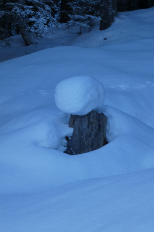 Skiferien Grindelwald 146.JPG