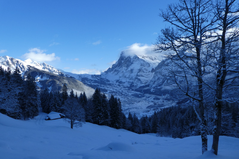 Skiferien Grindelwald 147.JPG