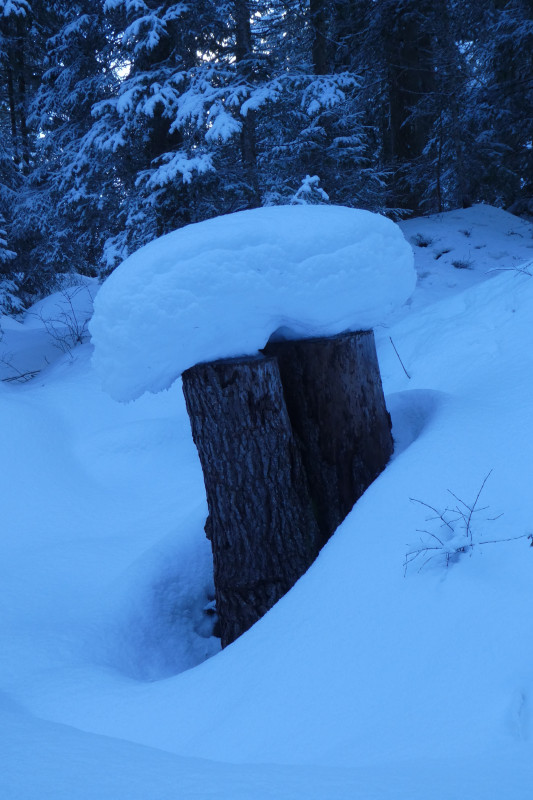 Skiferien Grindelwald 156.JPG