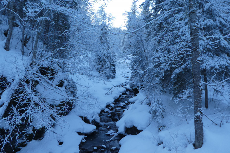 Skiferien Grindelwald 165.JPG