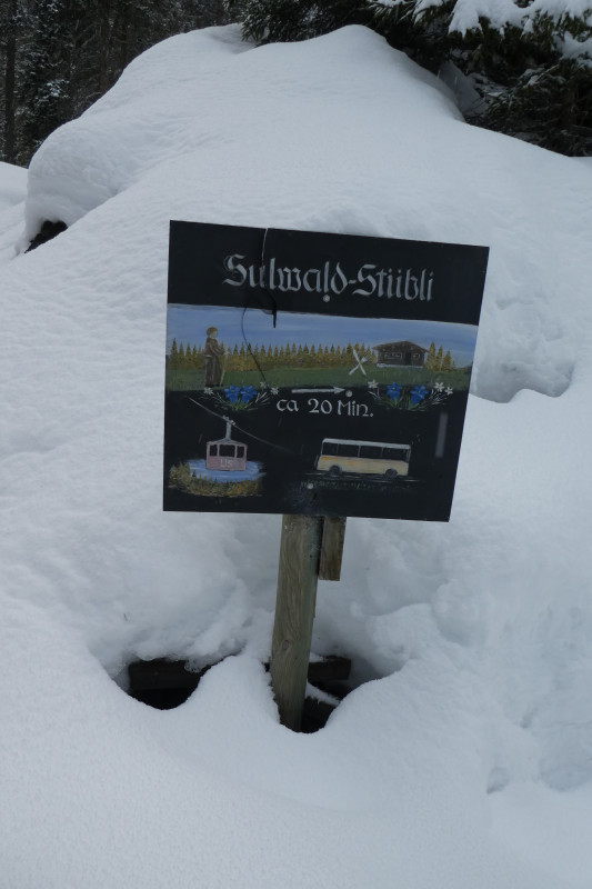 Skiferien Grindelwald 221.JPG