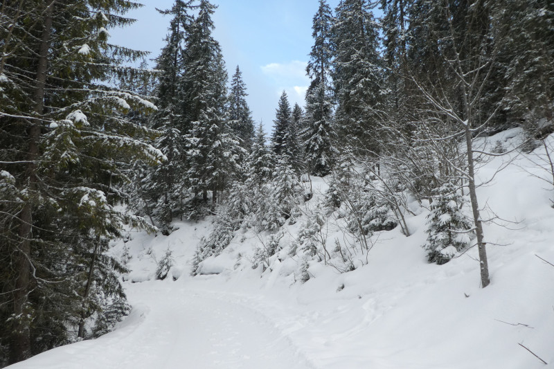 Skiferien Grindelwald 225.JPG