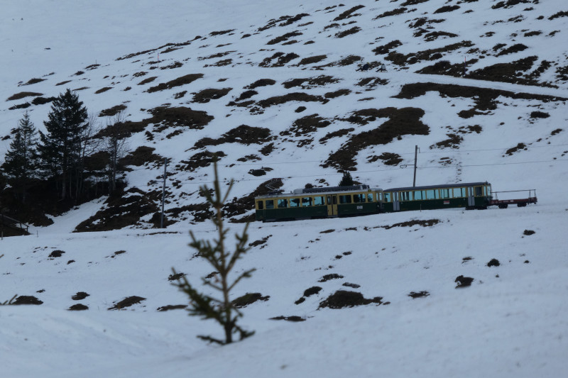 Skiferien Grindelwald 300.JPG