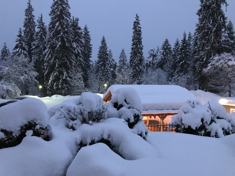 Tief verschneit Flims Waldhaus