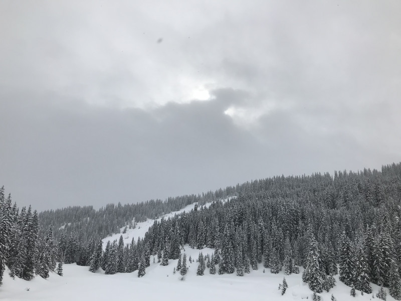 Die Sonne hat es heute auch noch ein bisschen.