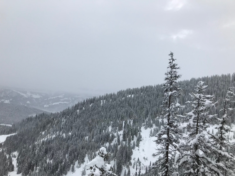 Es zeigt sich selbst sehr vorsichtig die Sonne