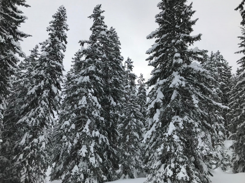 Unterwegs nach Plaun