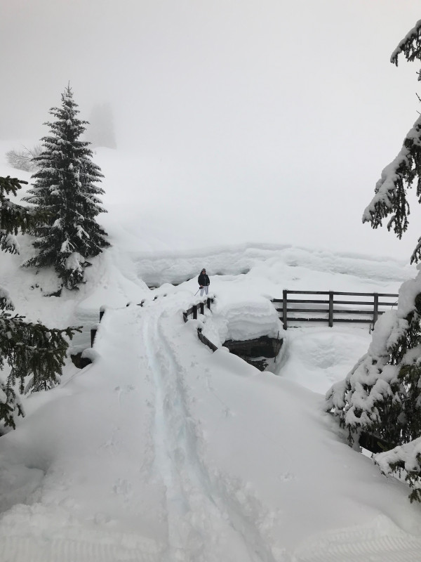 Ganz unten war's dann fertig mit die Präparierte Strecke und müssten wir uns durch sehr Tiefe Schnee Wühlen. Es kam noch ein Pistenbully vorbei. Später würde die 8 dann als geschlossen gemeldet...