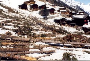 Blick vom Lawinenkegelk zurück. Uns kam die lawine bis an die Scheunentüre