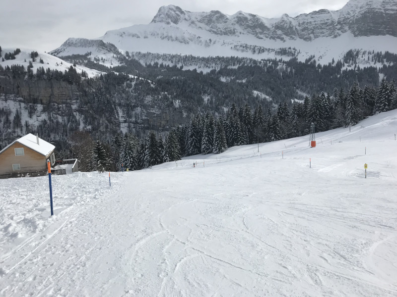 Herti wieder gut schneebedeckt.