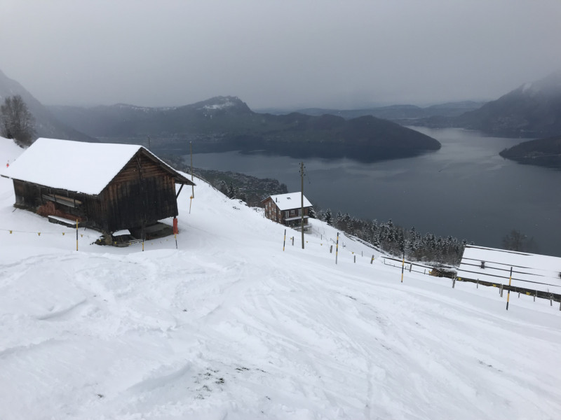 Oberhalb Altberg kommen die ersten Grashalme hervor