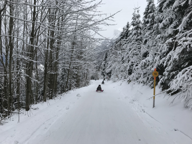 Die Strasse (der Schlittelweg ist offiziell geöffnet) ist natürlich optimal.