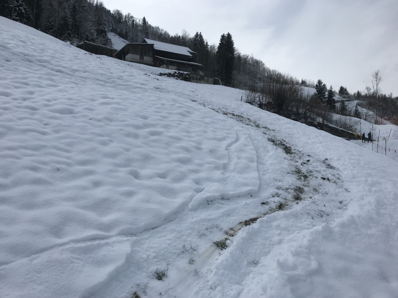 Zweienhalb Stunden vorher, als noch kaum jemand runtergefahren ist, war das noch viel besser, da zog ich, von unserem Haus startend, selber grüne Spuren.