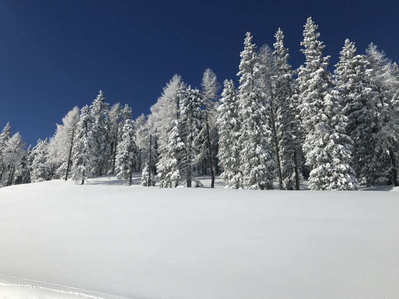 Schnee, Schnee und nochmals Schnee