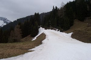 Das letzte stück zu Mitelstation