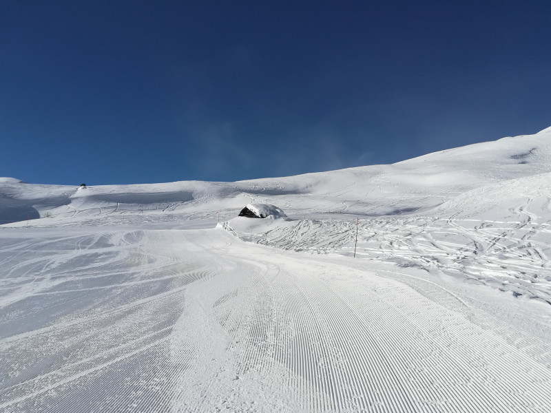 Noch immer auf der Tiem.