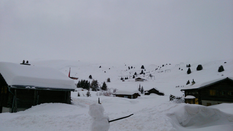 Radons am 21.02.2014