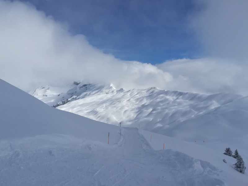 2018-02-12 14.14.39 451-IMG_20180212_141437.jpg