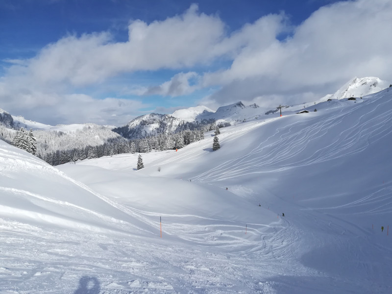 2018-02-12 14.21.01 433-IMG_20180212_142059.jpg