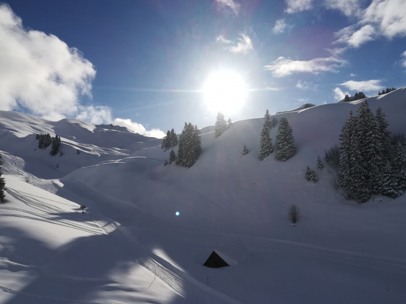 2018-02-12 15.50.04 170-IMG_20180212_155002.jpg