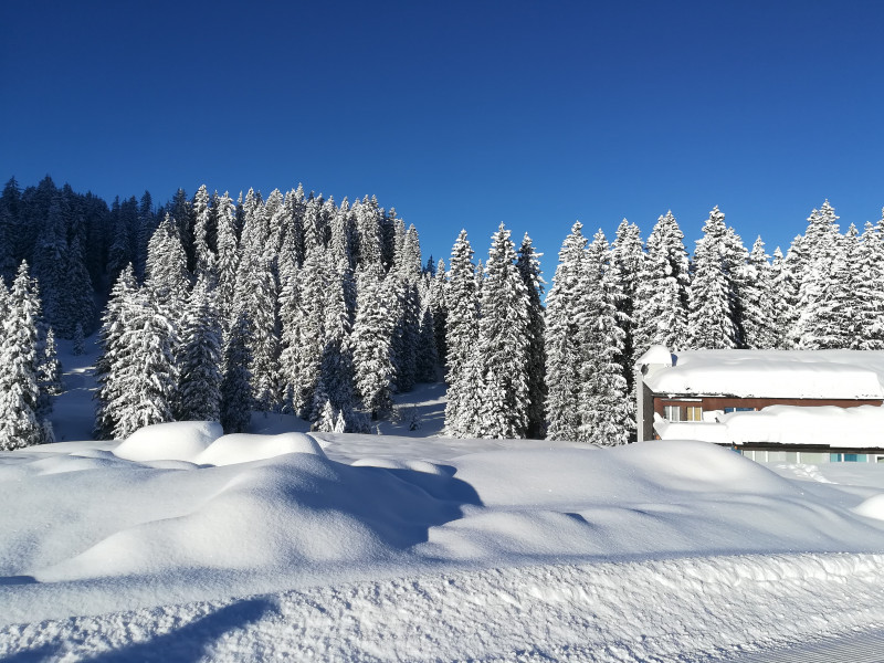 2018-02-13 08.51.10 092-IMG_20180213_085108.jpg