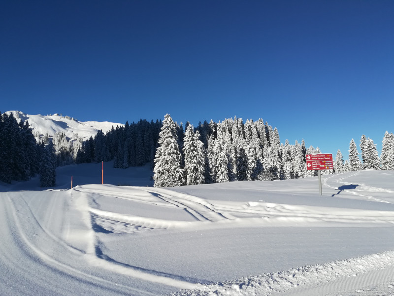 2018-02-13 08.53.25 035-IMG_20180213_085323.jpg