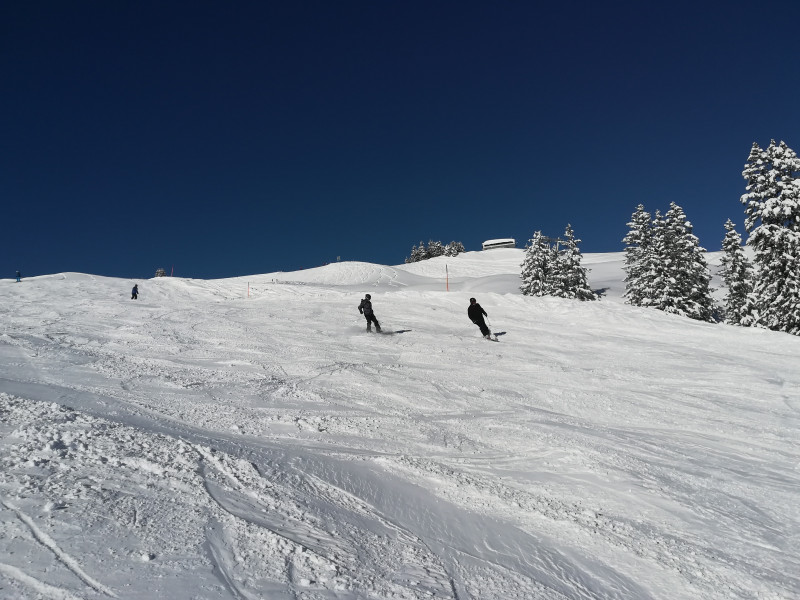 2018-02-13 10.36.29 740-IMG_20180213_103627.jpg