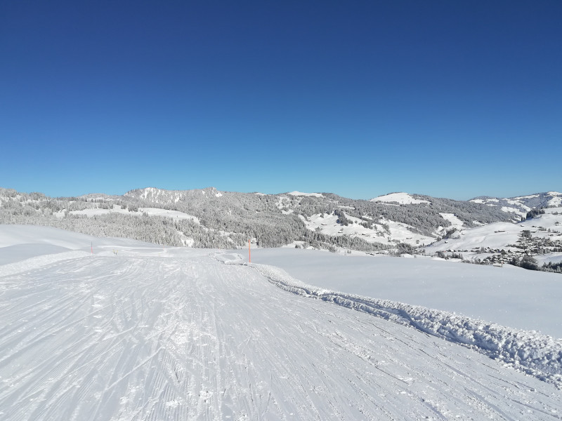 2018-02-13 10.44.40 519-IMG_20180213_104439.jpg