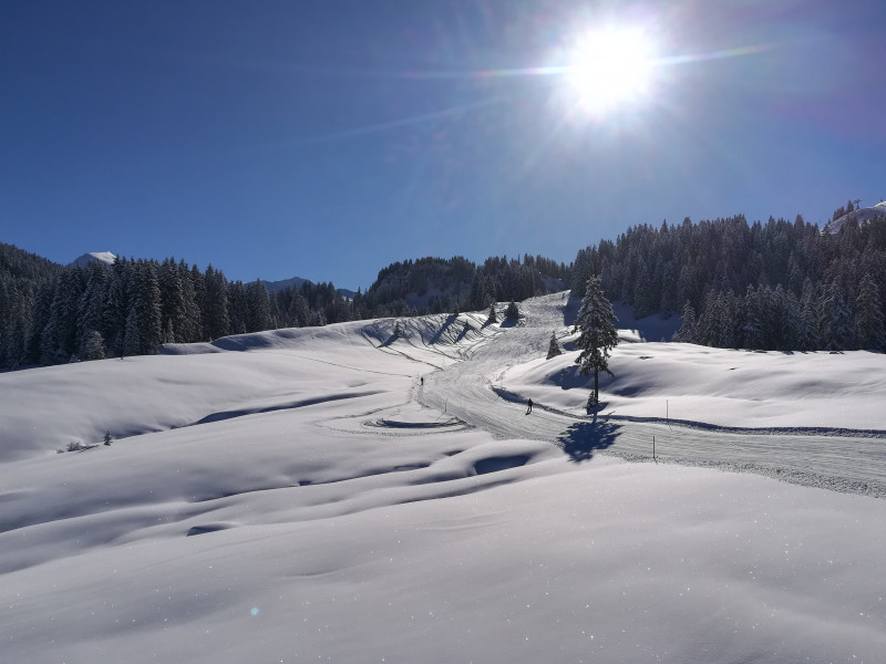 2018-02-13 11.14.12 160-IMG_20180213_111409.jpg