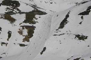 ... während der Steilhang etwas höher doch schon etwas braun aussieht. Prognose: in 2 Jahren stehen auch hier Lanzen. Man kann aber diesen Hang umfahren, ...