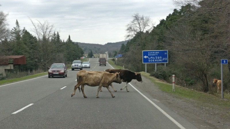 005_Tiflis_Zugdidi.jpg