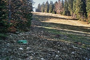 ... und zum zweiten Mal.