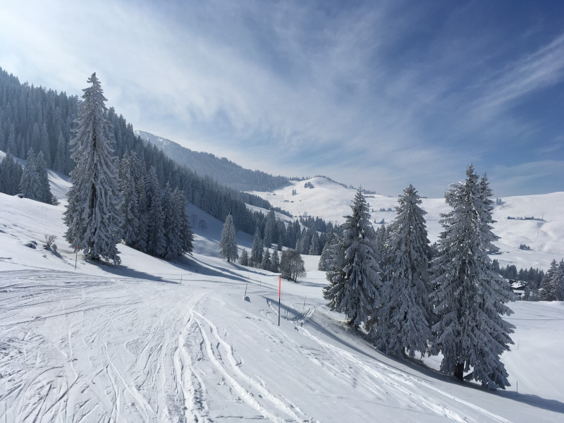 Verbindungspiste zu den anderen Liften. Hin gehts fast ohne schieben, zurück brauchts etwas mehr.