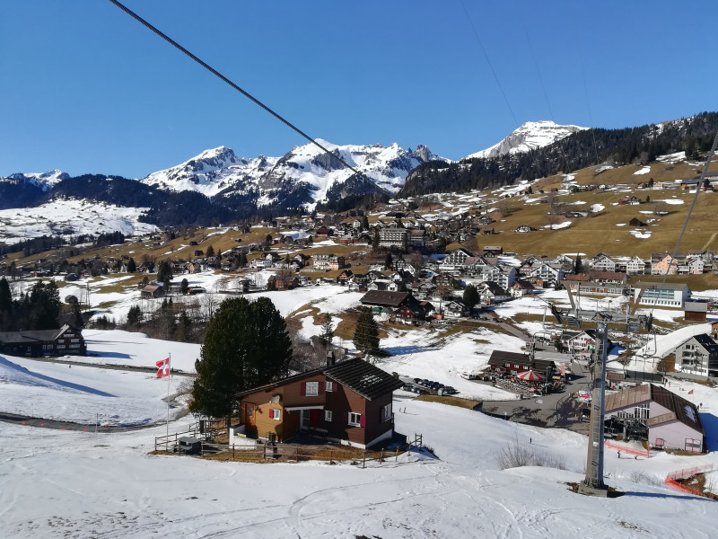 Am Südhang wird es Frühling